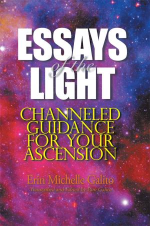 Cover of the book Essays of the Light by Darlene Dawn