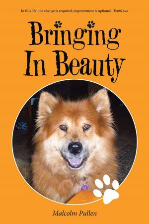Cover of the book Bringing in Beauty by Andrew Nyakupfuka
