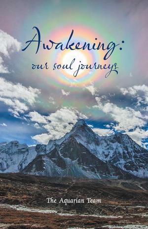 Cover of the book Awakening: Our Soul Journeys by Daniel J. Lovett