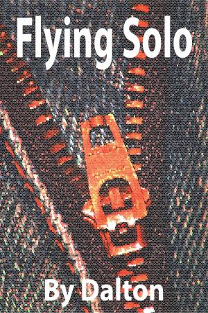 Cover of the book Flying Solo by J.C. Cummings