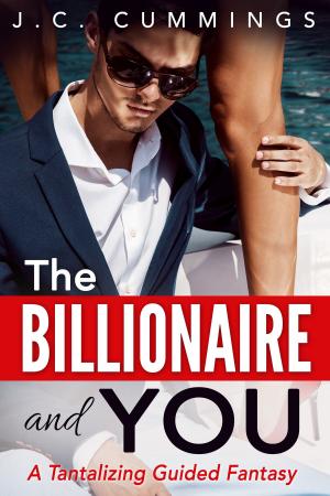 Book cover of The Billionaire and You
