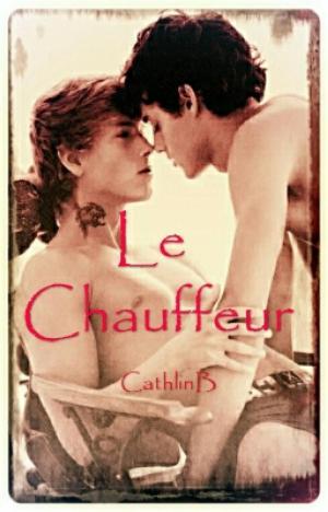 Cover of the book Le Chauffeur by Enrique Laso