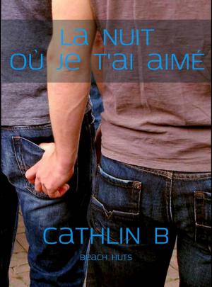 Cover of the book La nuit où je t'ai aimé by Jen Minkman