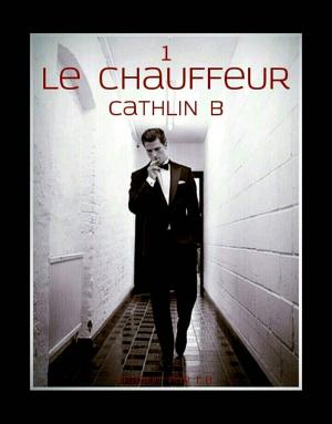 Cover of the book LE CHAUFFEUR by Bernard Levine