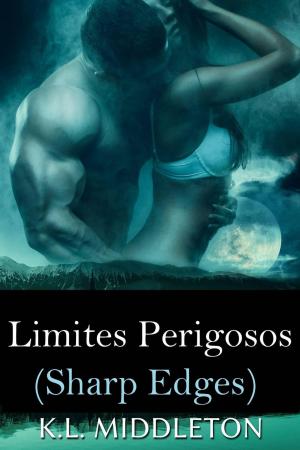 Cover of the book Sharp Edges - Limites Perigosos by Stefania Gil