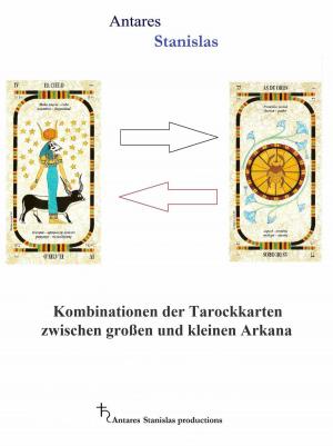 Cover of the book Kombinationen der Tarockkarten zwischen großen und kleinen Arkana by Eva Markert