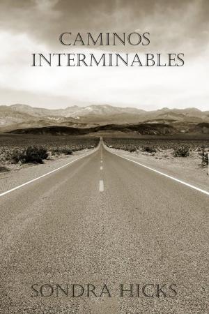 Cover of the book Caminos Interminables by The Blokehead