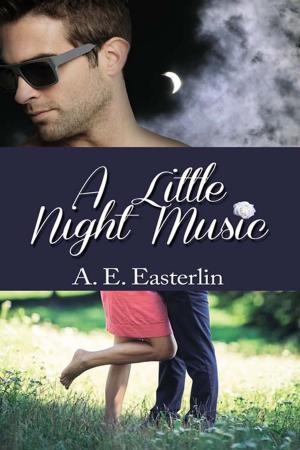 Cover of the book A Little Night Music by Sharon  Saracino