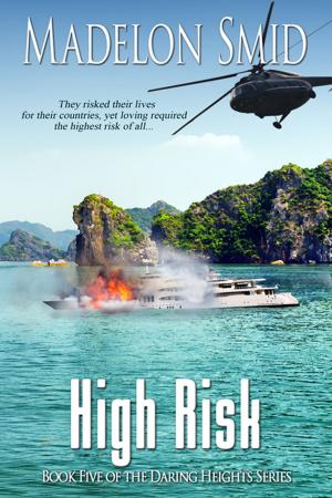 Cover of the book High Risk by Starr Gardinier