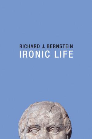 Cover of the book Ironic Life by John J. Schmidt Ed.D.