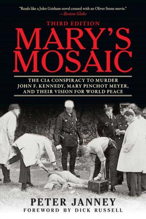 Cover of the book Mary's Mosaic by Lynne Finch