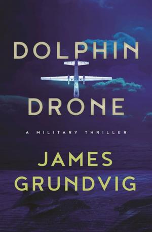 Cover of the book Dolphin Drone by Chris Angus