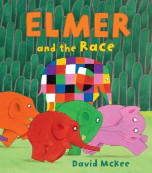 Book cover of Elmer and the Race