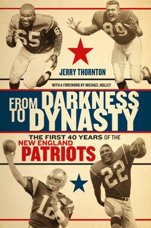 Cover of the book From Darkness to Dynasty by Marc Solomon