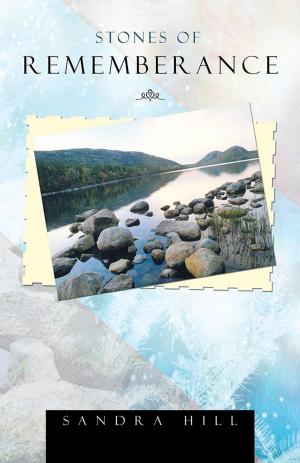Cover of the book Stones of Remembrance by Rita Santaniello McGuffey