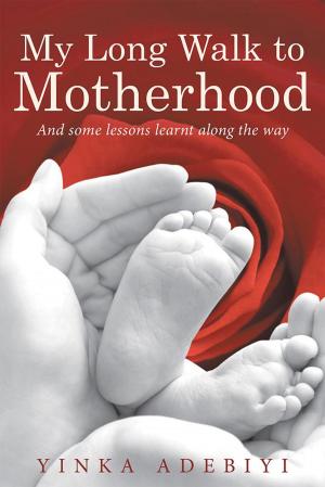 Cover of the book My Long Walk to Motherhood by David A. Kroll