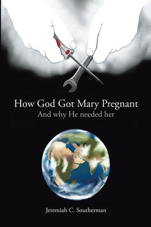 Cover of the book How God Got Mary Pregnant by Adrienne Willis