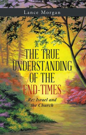 Cover of the book The True Understanding of the End-Times by The Tempest Ariel