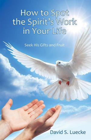Cover of the book How to Spot the Spirit's Work in Your Life by Audrey Brown Lightbody