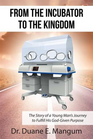 Cover of the book From the Incubator to the Kingdom by Giselle Aguiar