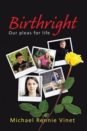 Cover of the book Birthright by Darleen Matherne