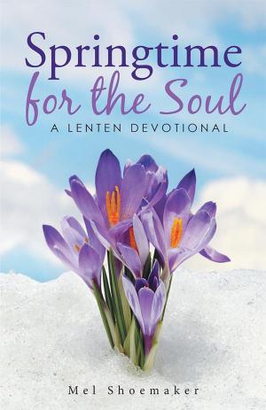 Cover of the book Springtime for the Soul by Kevin Turnbaugh