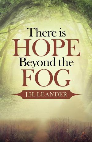 Cover of the book There Is Hope Beyond the Fog by Joan Hibbard Hershberger