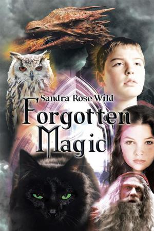 Cover of the book Forgotten Magic by Venantius C. Anasoh