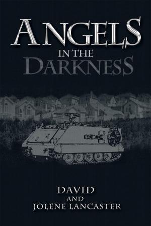 Cover of the book Angels in the Darkness by Jae L. Mackall