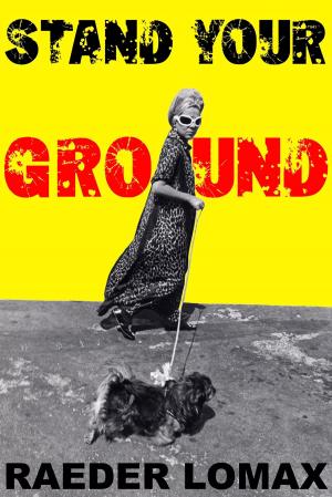 Cover of the book STAND YOUR GROUND by Saskia Noort