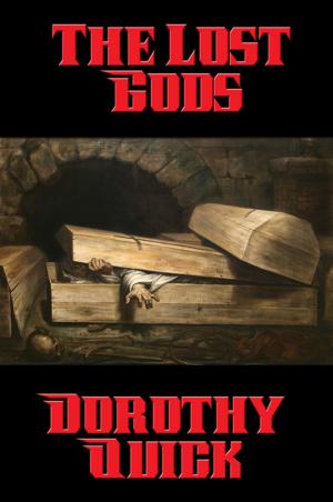 Cover of the book The Lost Gods by Michael McCarty, S. A. Gambino