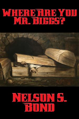 Book cover of Where Are You Mr. Biggs?