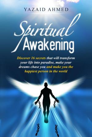 Cover of the book Spiritual Awakening by Sharnel Williams