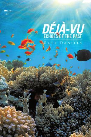 bigCover of the book Déjà-Vu Echoes of the Past by 