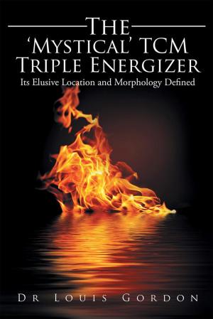 Cover of the book The ‘Mystical’ Tcm Triple Energizer by Martin Cole