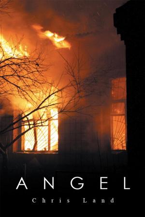 Cover of the book Angel by Maureen Cochram
