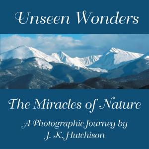 Cover of the book Unseen Wonders by Nilar