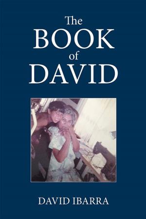 Cover of the book The Book of David by James Kumah Yao Kpetigo