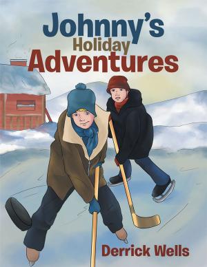 Cover of the book Johnny’S Holiday Adventures by Barrington K. Brown