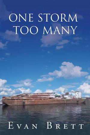 Cover of the book One Storm Too Many by Twenty-Five