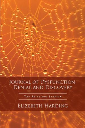Cover of the book Journal of Dysfunction, Denial and Discovery by David Taylor Johannesen