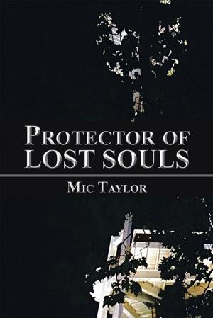 Cover of the book Protector of Lost Souls by Linda Wills