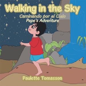 Cover of the book Walking in the Sky by Dr. David Garrahan