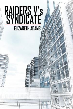 Book cover of Raiders V’S Syndicate