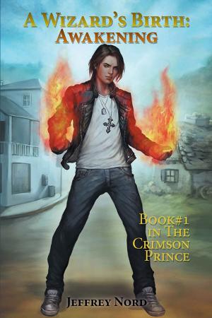 Cover of the book A Wizard's Birth: Awakening by Teresa Avery