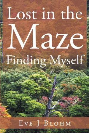 Cover of the book Lost in the Maze Finding Myself by Shayna S. Israel