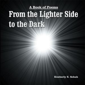 Cover of the book From the Lighter Side to the Dark by Jane Thomas