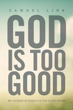 Cover of the book God Is Too Good by Richard Rucker