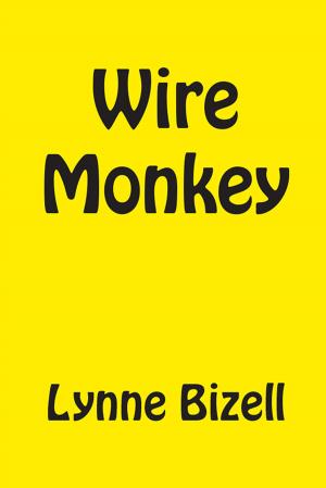 Cover of the book Wire Monkey by C.H. Leno