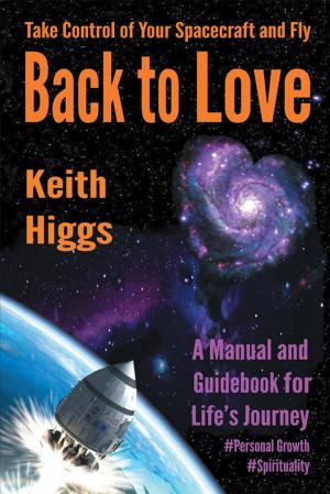 Cover of the book Take Control of Your Spacecraft and Fly Back to Love by Steven Batt